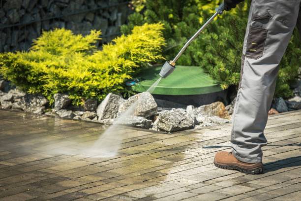 Best Sidewalk and Walkway Cleaning  in Farley, KY